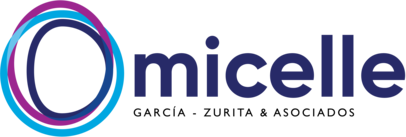 micellegroup.com